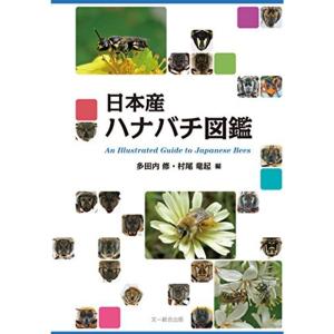日本産ハナバチ図鑑｜daikokuya-store5