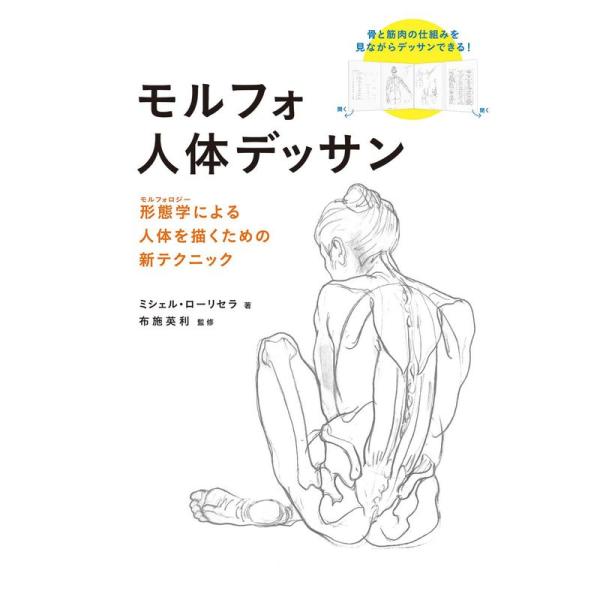 モルフォ人体デッサン 形態学による人体を描くための新テクニック