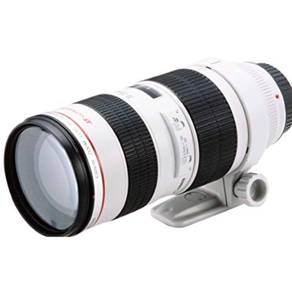 Canon 望遠ズームレンズ EF70-200mm F2.8L USM フルサイズ対応