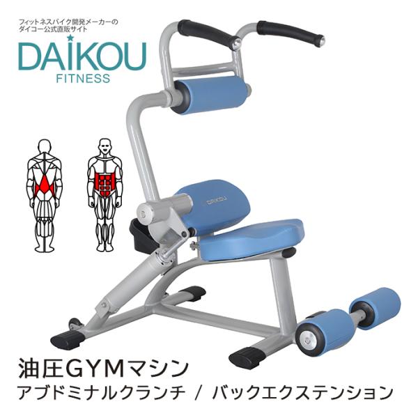 油圧マシン DAIKOU アブドミナルクランチ/バックエクステンション  施設利用可 メーカー保証1...