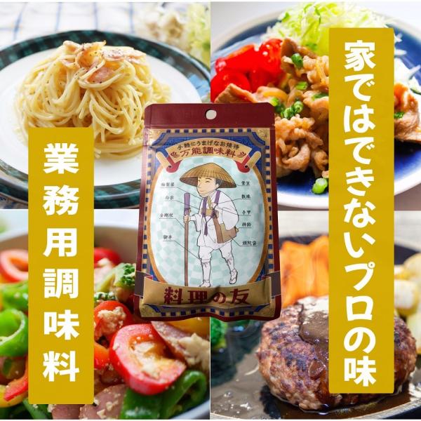 スパイス 塩 業務用 アウトドア キャンプ バーベキュー 肉 スパイス(香辛料)・薬味 料理の友　