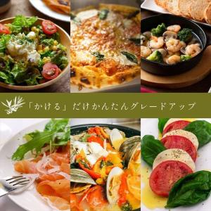 きざみにんにく アホエンオイル ガーリック オ...の詳細画像5