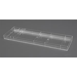 ビーニングトレイ　大