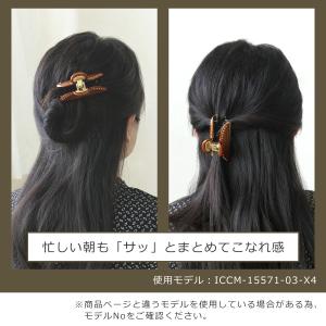 【並行輸入品】アレクサンドルドゥパリ ヘアクリ...の詳細画像3