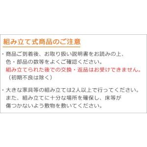 山崎実業 ゴミ箱 tower タワー 目隠し ...の詳細画像4