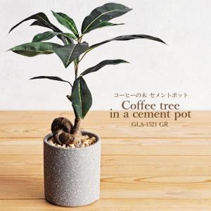 YDM 造花 コーヒーの木 セメントポット GLA-1521 GR 観葉植物 インテリアグリーン