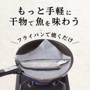 干物セット お中元 ギフト 国産 魚の干物 詰...の詳細画像5