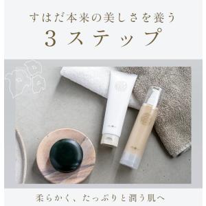 あきゅらいず きほんのセレクト 泡石 (小) ...の詳細画像1