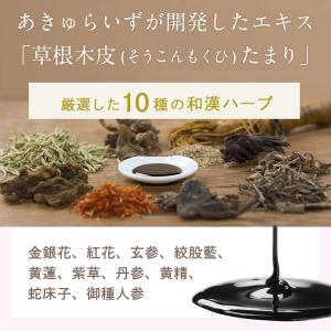 あきゅらいず きほんのセレクト 泡石 (小) ...の詳細画像3