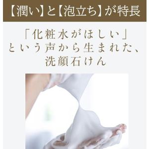 あきゅらいず きほんのセレクト 泡石 (小) ...の詳細画像4