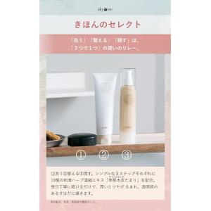 あきゅらいず きほんのセレクト 泡石 (小) ...の詳細画像5