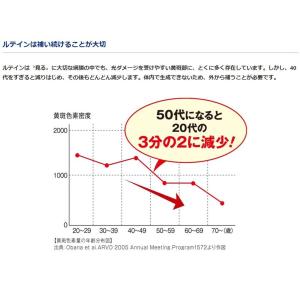 ロートV5 アクトビジョン ルテイン ロート製...の詳細画像2