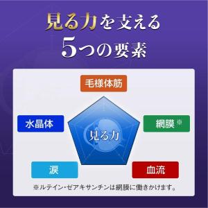 ロートV5 アクトビジョン ルテイン ロート製...の詳細画像3