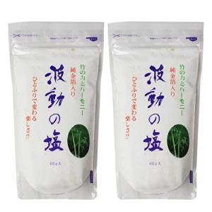 波動の塩 450g ２個セット 波動法製造株式会社 40g