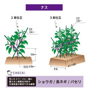 支柱 園芸 イボ支柱 50本入 直径16mm ...の詳細画像2