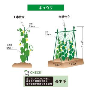 支柱 園芸 イボ支柱 50本入 直径16mm ...の詳細画像3
