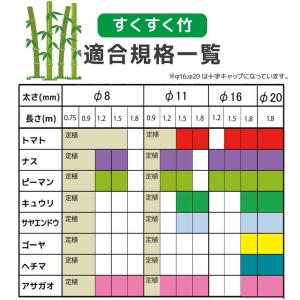 支柱 園芸 イボ支柱 50本入 直径16mm ...の詳細画像5