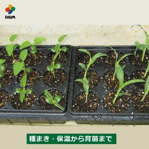 daim 育苗 ポット 種まきハウス 多肉植物 保温 トレイ シート 家庭菜園 園芸 用品 苗づくり｜daim-factory