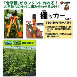daim 棚ッカー 3個入 16mm支柱用 朝...の詳細画像1