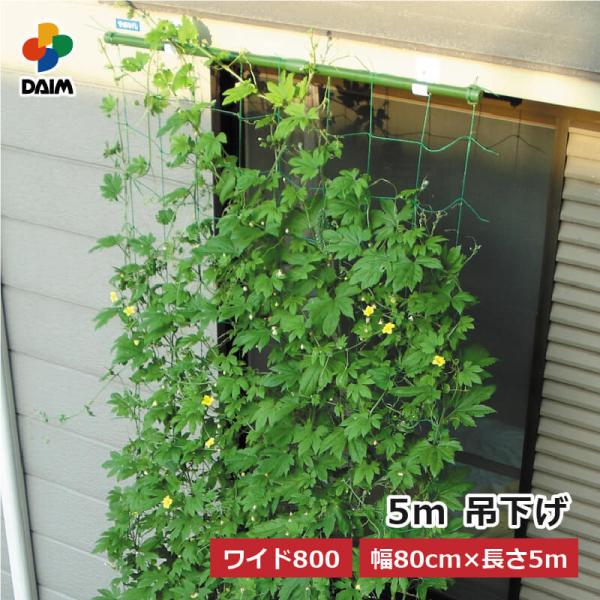 daim 緑のカーテン 5m 吊下げタイプ ワイド800 80cm幅 グリーンカーテン 日よけ 日除...