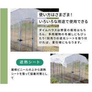 ビニールハウス 3坪 ファスナータイプ 替えビ...の詳細画像5