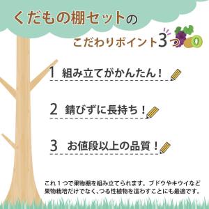 ぶどう棚 パーゴラ 果樹棚 キウイ棚 KT-S...の詳細画像2
