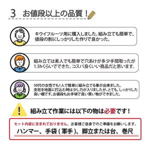 ぶどう棚 パーゴラ 果樹棚 キウイ棚 KT-S...の詳細画像5