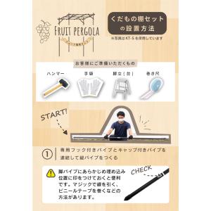 ぶどう棚 パーゴラ 果樹棚 キウイ棚 KT-M...の詳細画像5