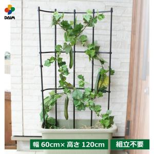 daim まきまきトレリス 幅60cm 高さ120cm トレリス クレマチス つる プランター 野菜 ラウンドトレリス タワー 合掌棚 フェンス 支柱 園芸 ガーデニング 菜園
