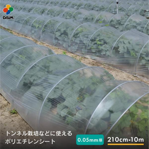 daim 菜園用 ポリシート 0.05mm厚 210cm幅 10m 保温 雨よけ 保温シート ポリエ...