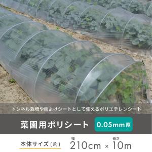 daim 菜園用 ポリシート 0.05mm厚 ...の詳細画像1
