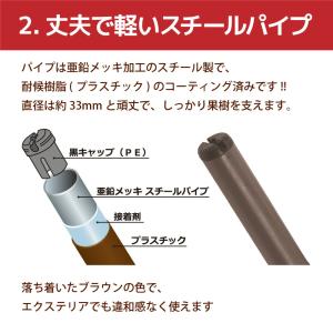ぶどう棚 パーゴラ 果樹棚 2m×2m ガーデ...の詳細画像3