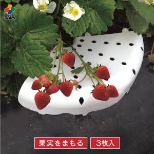 daim イチゴのまくら 3枚入 イチゴ 苺 いちご ワイルドストロベリー とよのか 四季なり 一季なり 栽培 グッズ サポート 家庭菜園 菜園 園芸 ガーデニング｜daim-factory