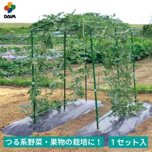 daim 空中栽培 つる棚セット 1セット入 つる野菜 家庭菜園 支柱 キュウリ ゴーヤ エンドウ 小玉スイカ 小型カボチャ 園芸 用品 地這い栽培