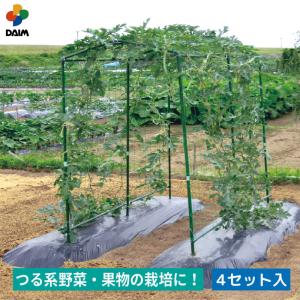 daim 空中栽培 つる棚セット 4セット入 つる野菜 家庭菜園 支柱 キュウリ ゴーヤ エンドウ 小玉スイカ 小型カボチャ 園芸 用品｜daim-factory