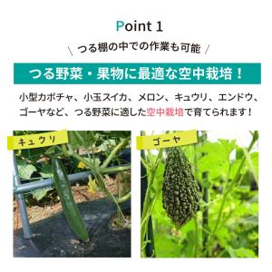 daim 空中栽培 つる棚セット 1セット入 ...の詳細画像2