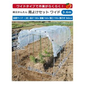 トマト 雨よけ ハウス 奥行3.6m 間口19...の詳細画像1