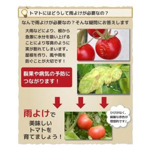トマト 雨よけ ハウス 奥行3.6m 間口19...の詳細画像4