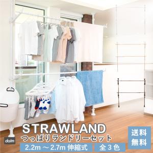 daim つっぱりランドリーセット 全3色 高さ2.2m 2.7m 幅1.5m 2.5m 伸縮式 つっぱり棒 物干し 物干し竿 洗濯干し  室内物干し ハンガーラック 送料無料