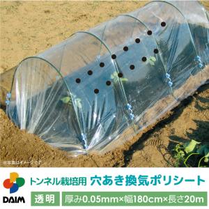 daim トンネル栽培用 穴あき換気ポリシート シート 雨よけ 雨除け 霜よけ 霜除け 保温 換気 穴あき 穴あけ 穴開き ポリシート 透明 家庭菜園 苗 トンネル 栽培