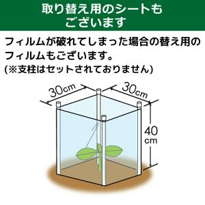 daim 野菜苗ガードセット ワイド 5セット...の詳細画像3