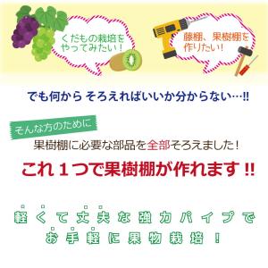 ぶどう棚 パーゴラ 果樹棚 2m×3m ガーデ...の詳細画像1