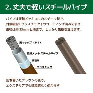 ぶどう棚 パーゴラ 果樹棚 2m×3m ガーデ...の詳細画像3