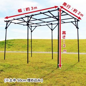ぶどう棚 パーゴラ 果樹棚 2m×3m ガーデ...の詳細画像5