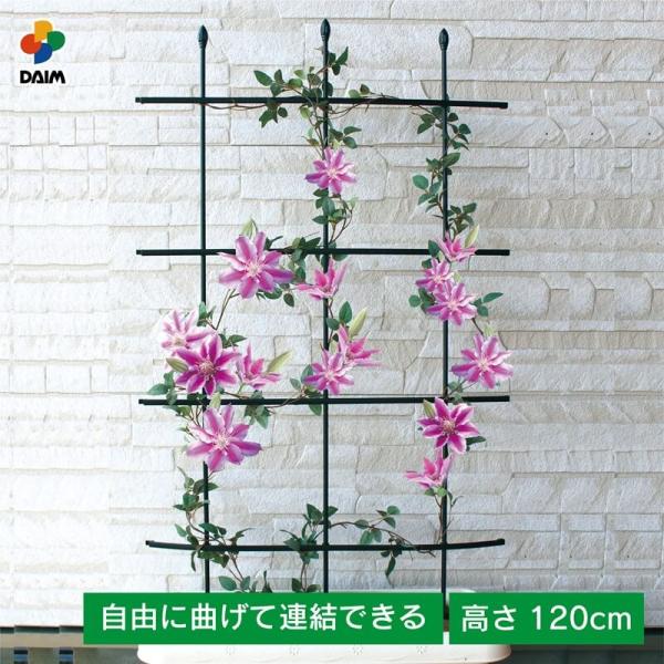 daim 自在型トレリス 幅60cm 高さ120cm つる性植物 薔薇 トレリス バラ ばら プラン...