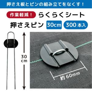 daim らくらくシート押さえピン 長さ30c...の詳細画像1