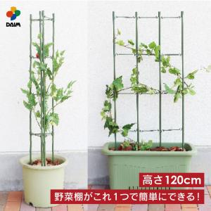 daim らくだな 高さ120cm 野菜棚 棚 トマト栽培 キュウリ ゴーヤ つる性植物 きゅうり棚 朝顔 支柱 アサガオ 第一ビニール｜daim-factory