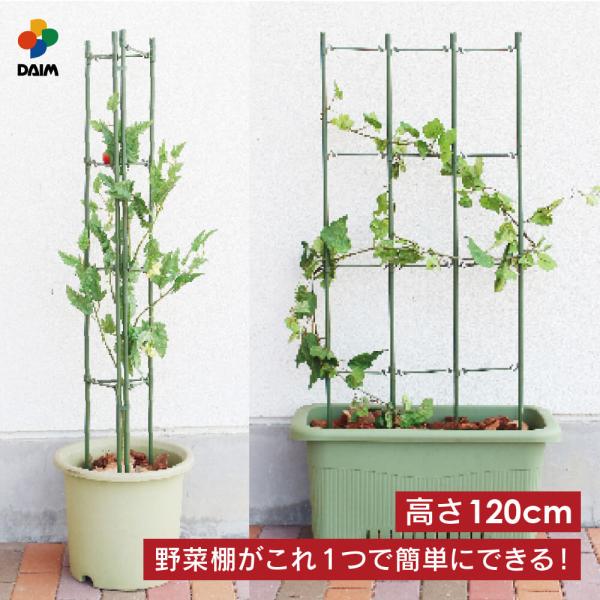 daim らくだな 高さ120cm 野菜棚 棚 トマト栽培 キュウリ ゴーヤ つる性植物 きゅうり棚...