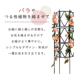 daim ローズトレリスワイド 幅120cm ...の詳細画像2
