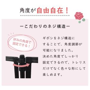 daim ローズトレリスワイド 幅120cm ...の詳細画像5